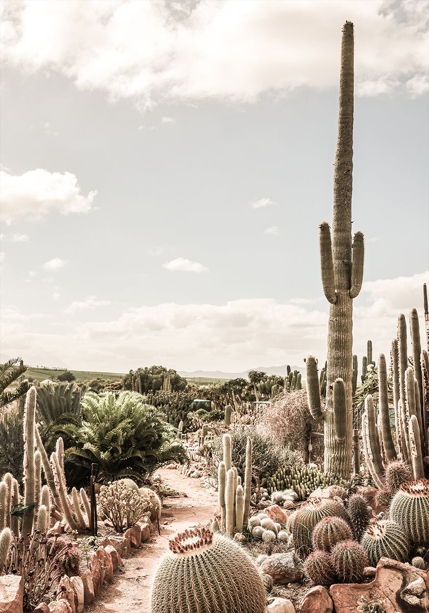 Manifesto della fattoria dei cactus