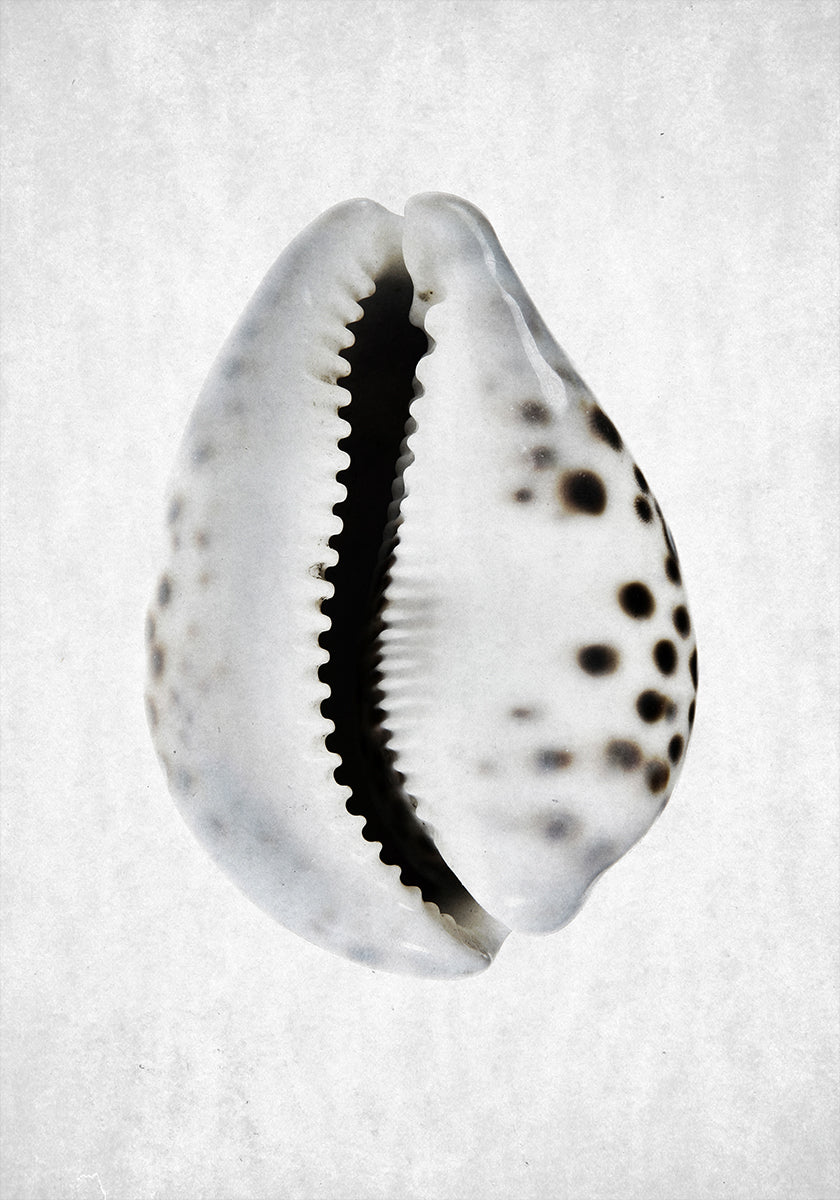 Marea primaverile