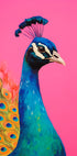 Peacock's Vibrance - Posterbox