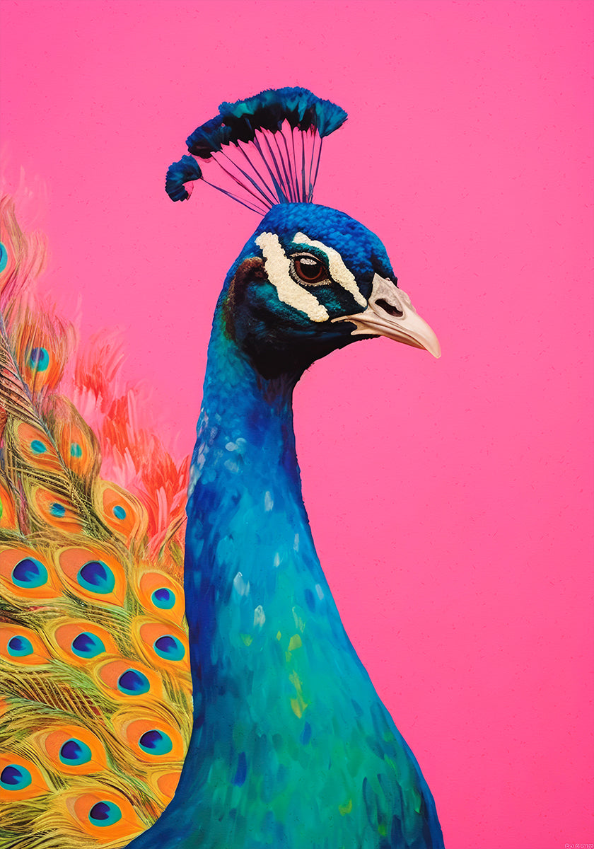 Peacock's Vibrance - Posterbox