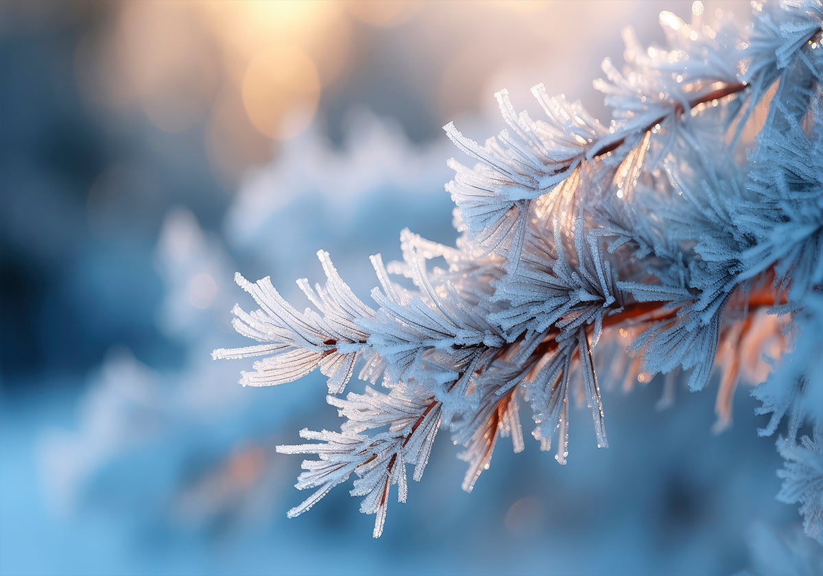Poster di serenità smerigliato