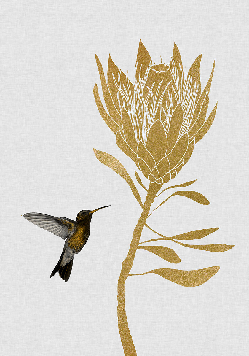 Colibrì e fiori nel poster