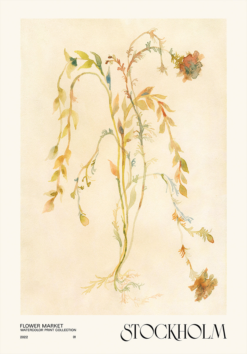 Collezione di stampe ad acquerello. Mercato dei fiori - Stoccolma