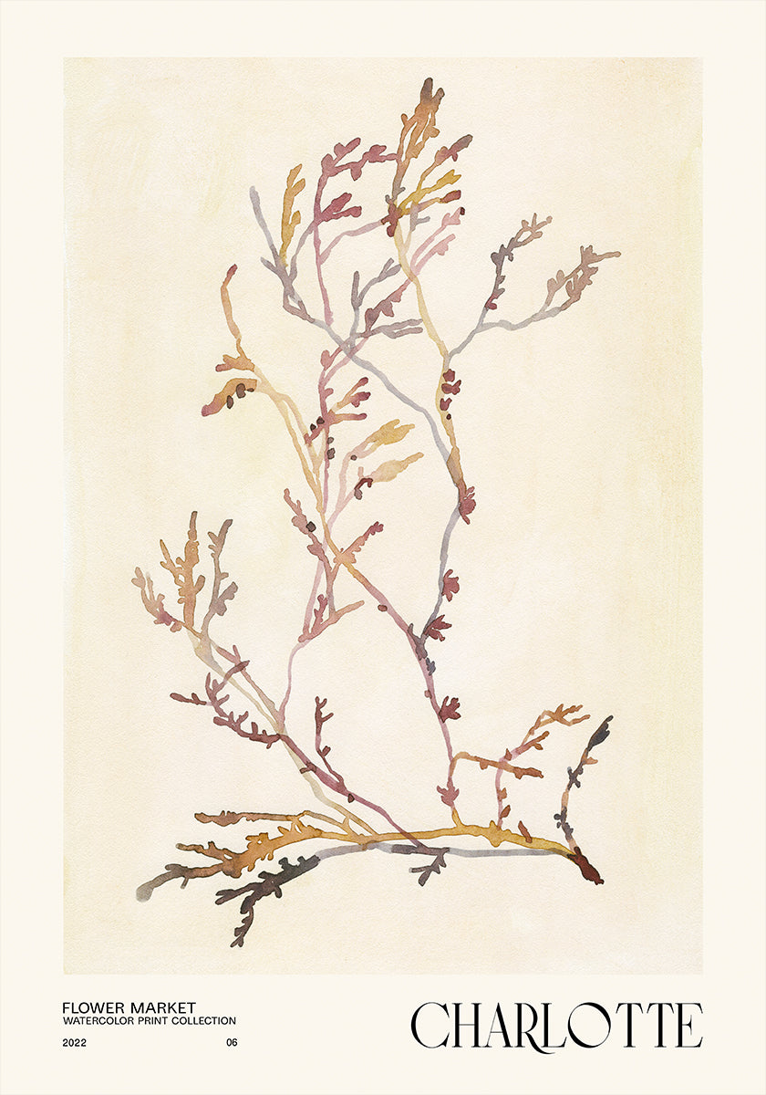 Collezione di stampe ad acquerello. Mercato dei fiori - Charlotte