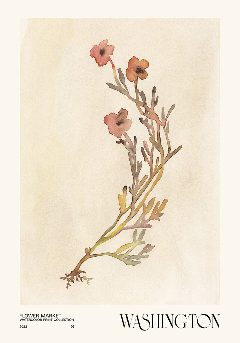 Collezione di stampe ad acquerello. Mercato dei fiori - Washington