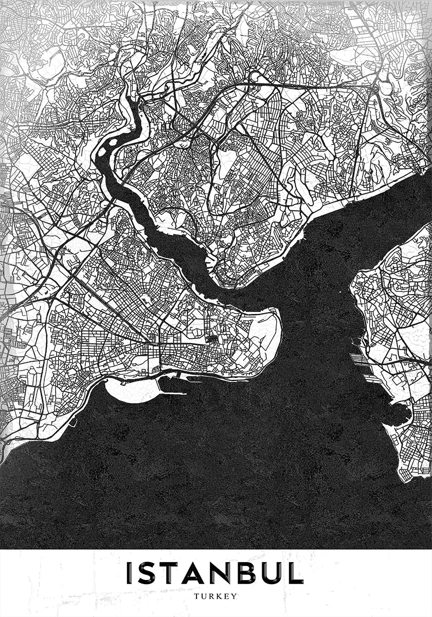 Manifesto di Istanbul