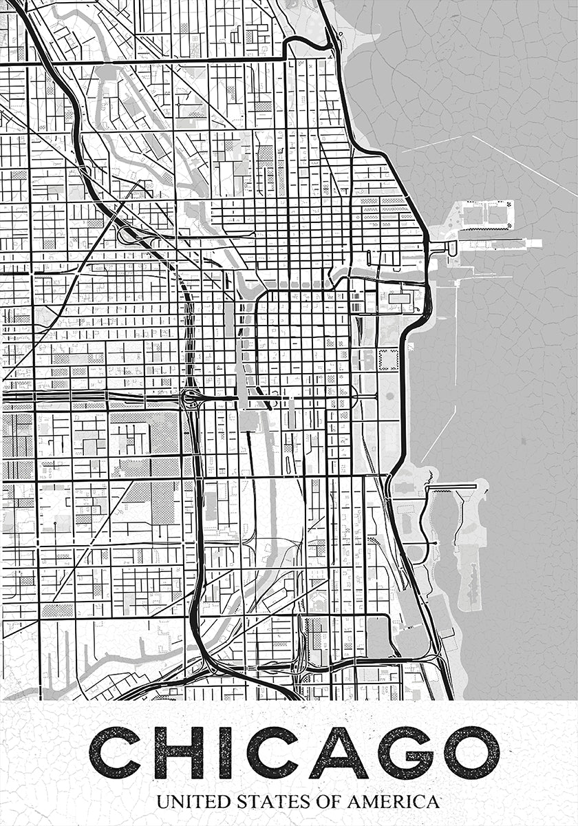 Manifesto bianco di Chicago