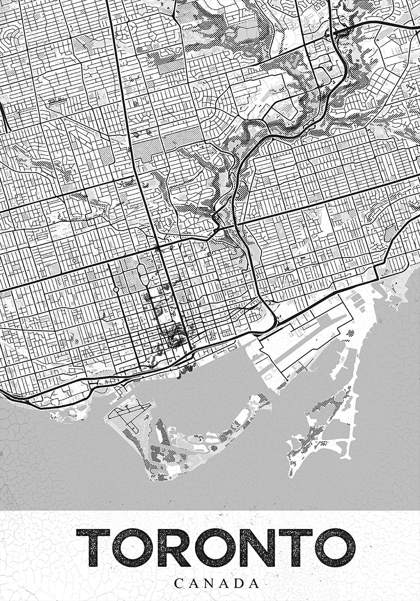 Manifesto bianco di Toronto