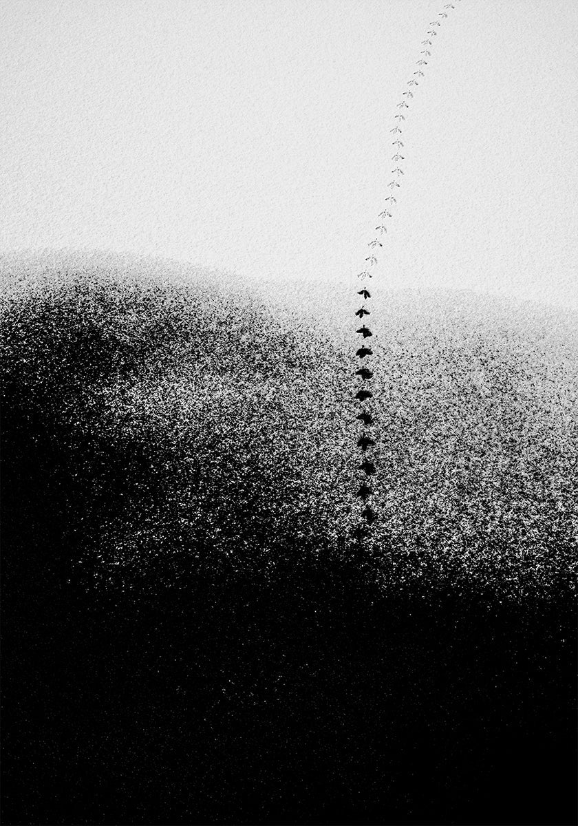 Orme nella neve Poster