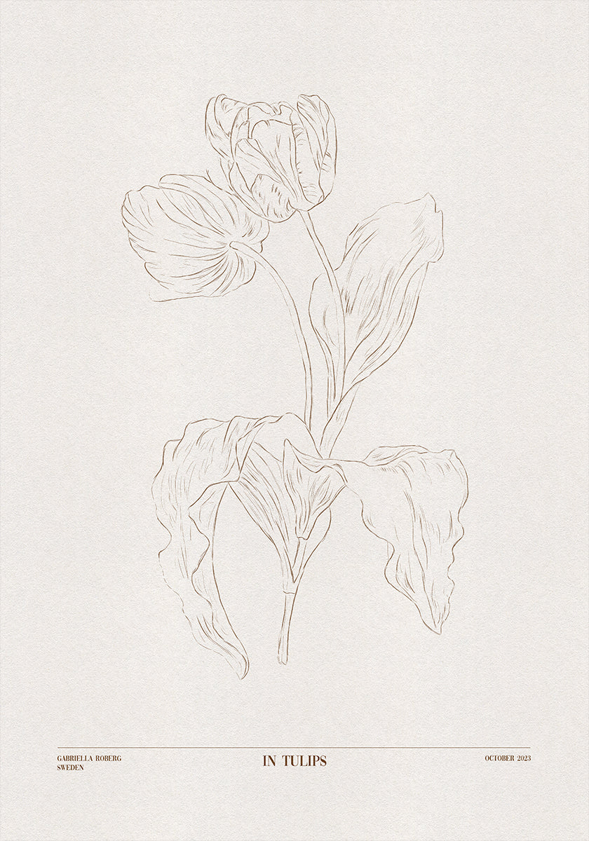 In Tulipani (marrone)