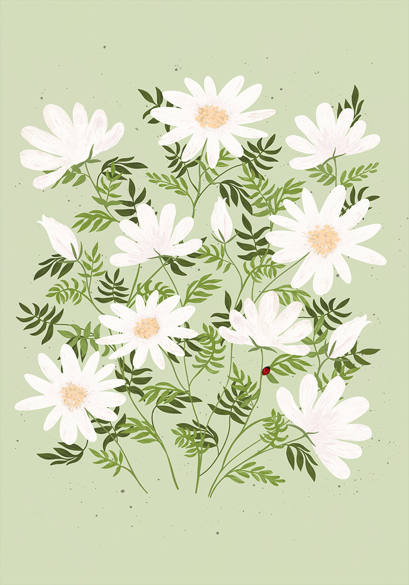 Fiori di coccinella