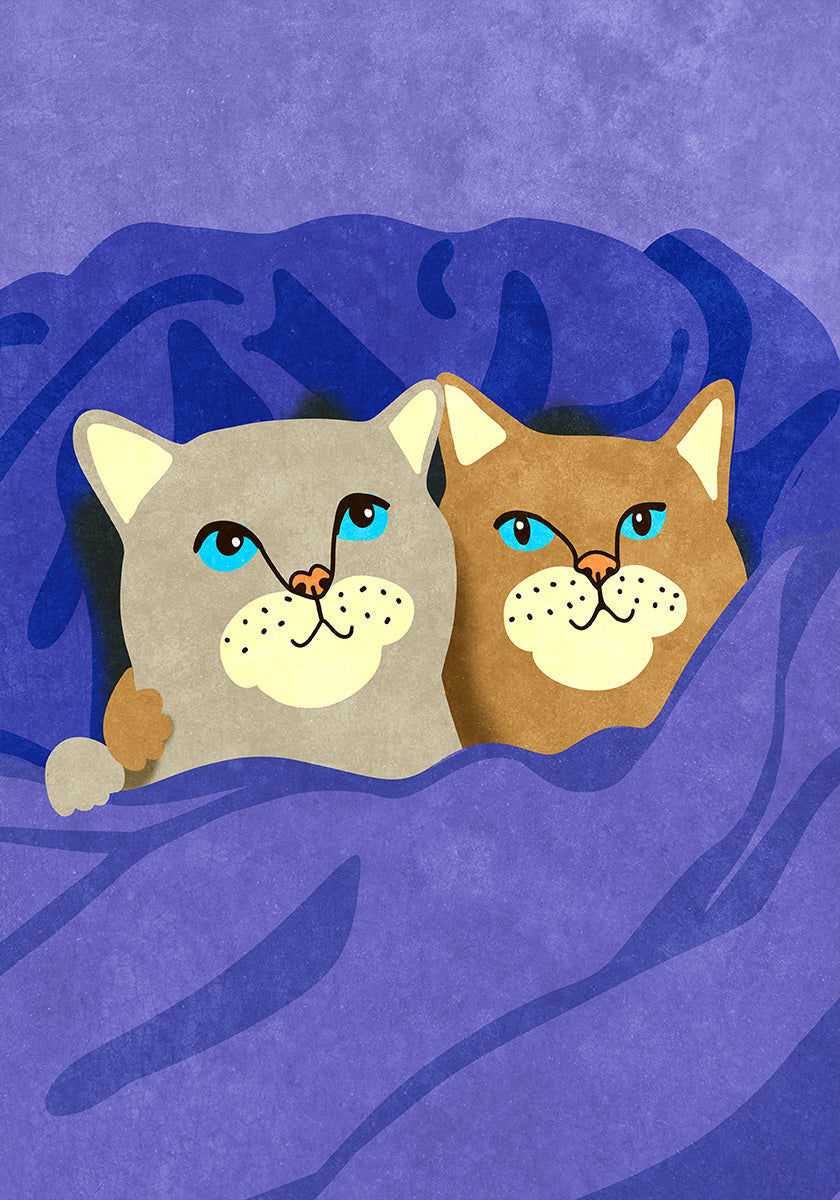 Gatti a letto