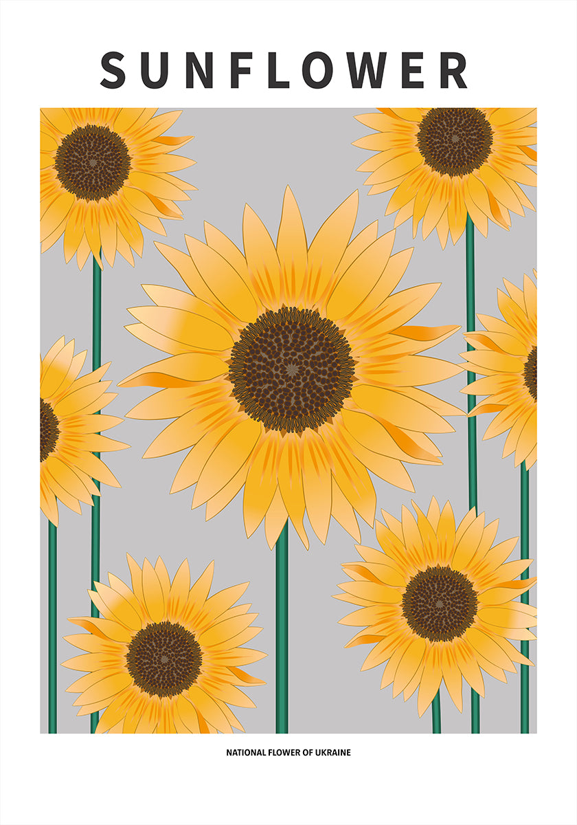 Girasole - Fiore nazionale e poster dell'Ucraina