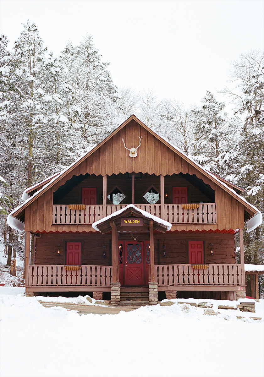 Poster Snow XI nello stato di New York