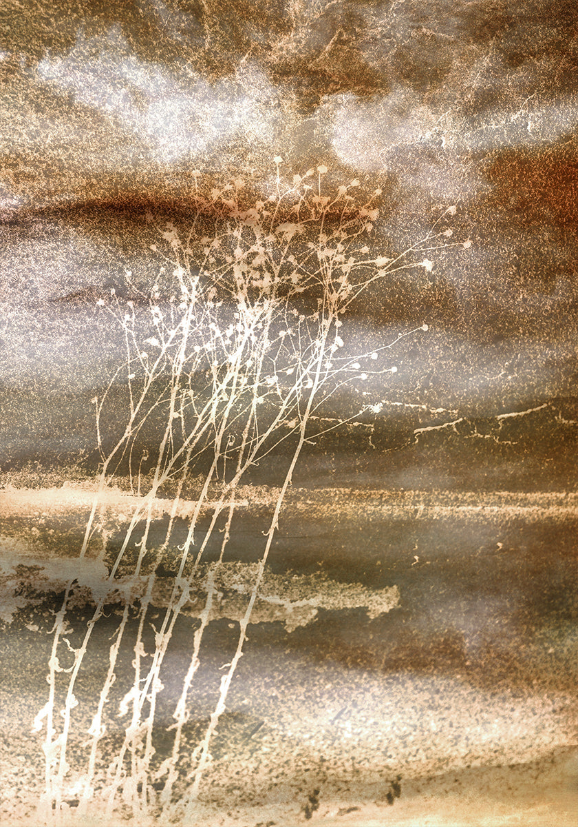 Poster di sogni secchi