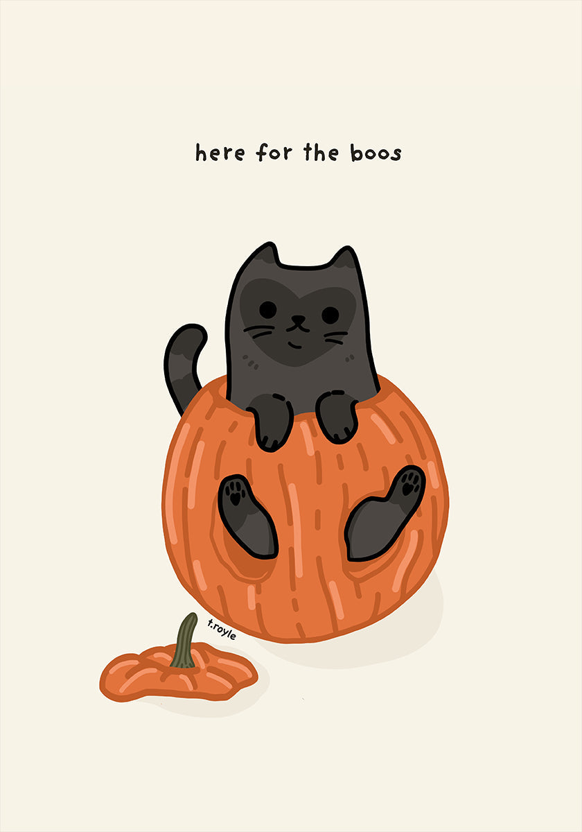 Gatto Nero Giocosamente Seduto In Una Zucca