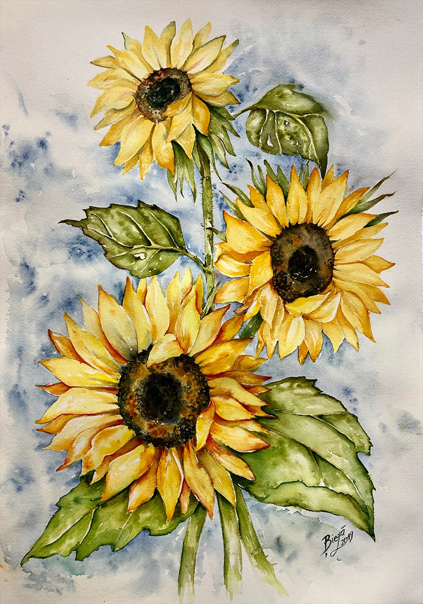 Girasoli