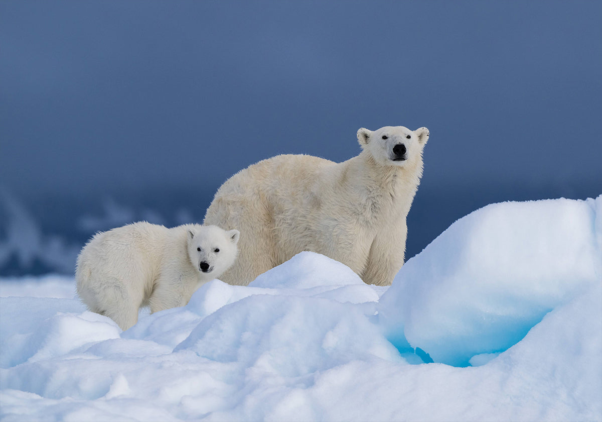Poster di mamma e bambino