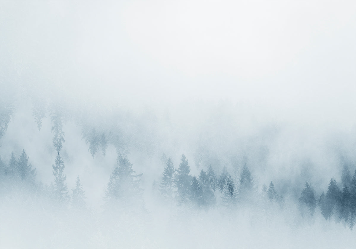 Locandina di Misty Pines