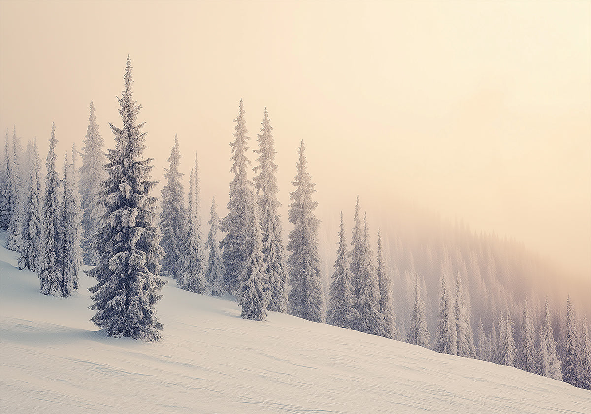 Poster di pini innevati di paesaggio invernale