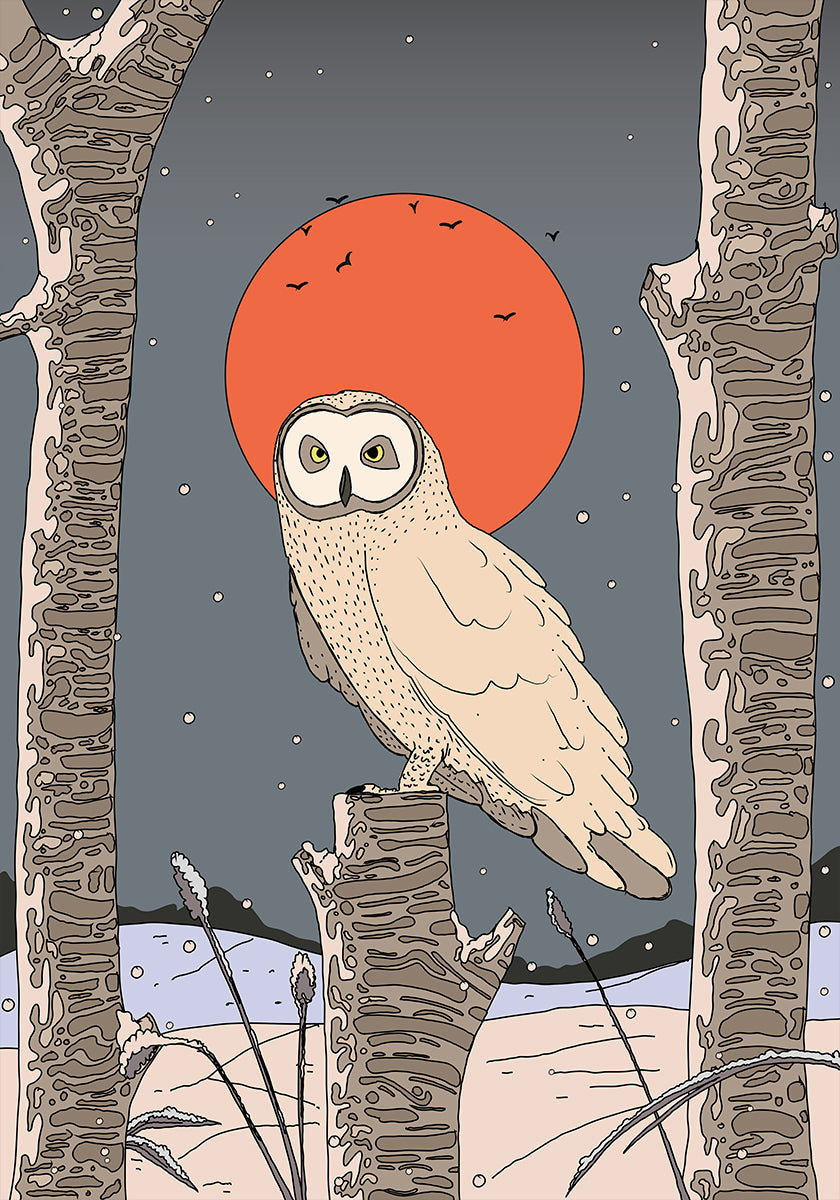 Poster vintage di gufo