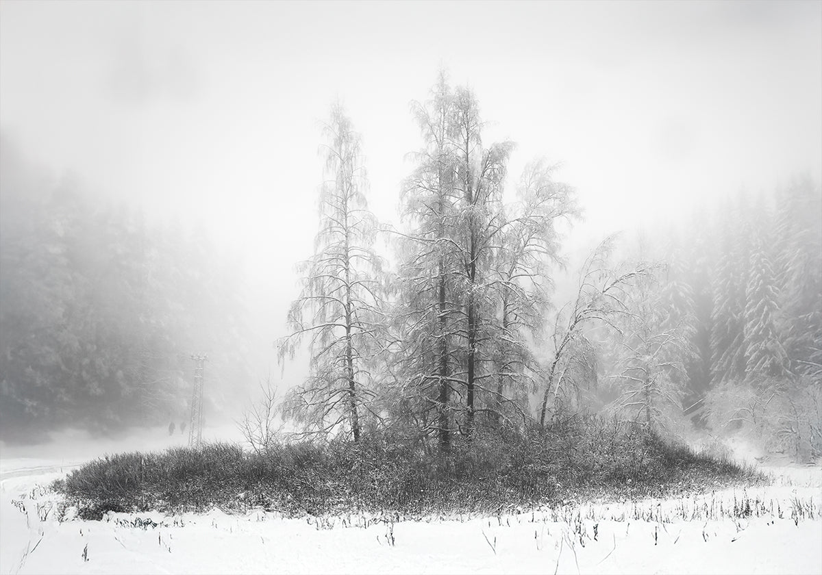 Poster Inverno in montagna