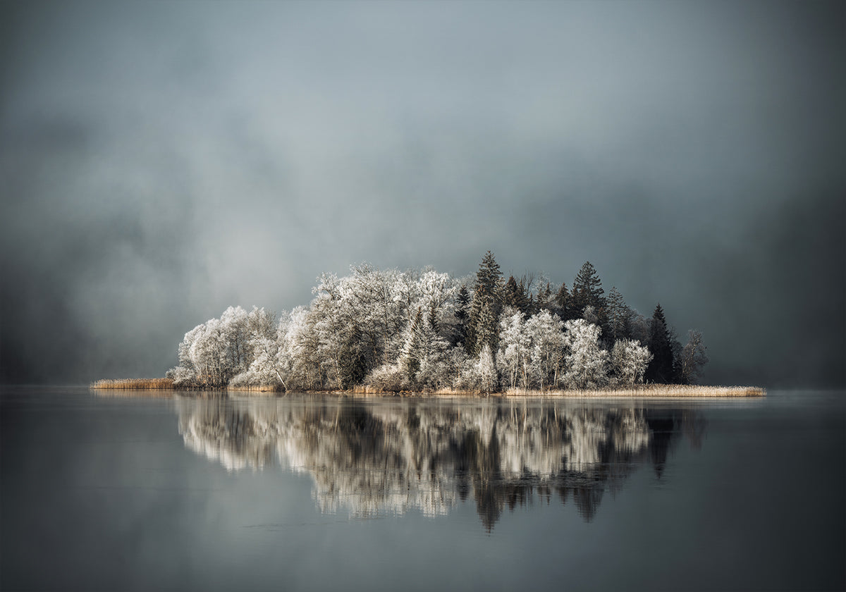 Manifesto dell'Isola Fredda