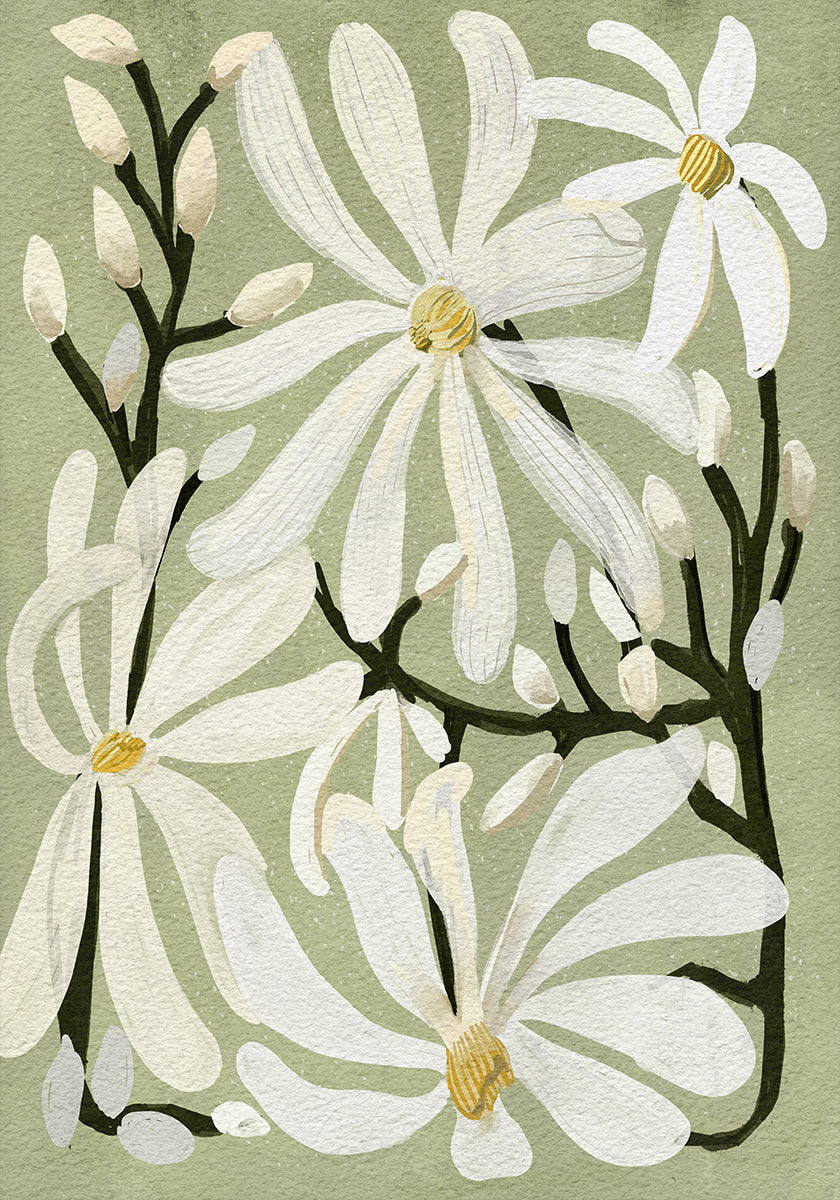 Star Magnolia Florals su sfondo salvia Poster