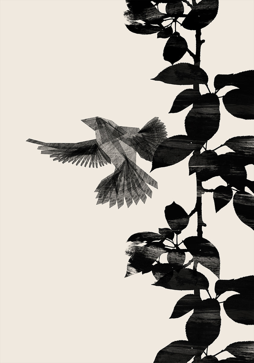 Uccello botanico un poster 20x30