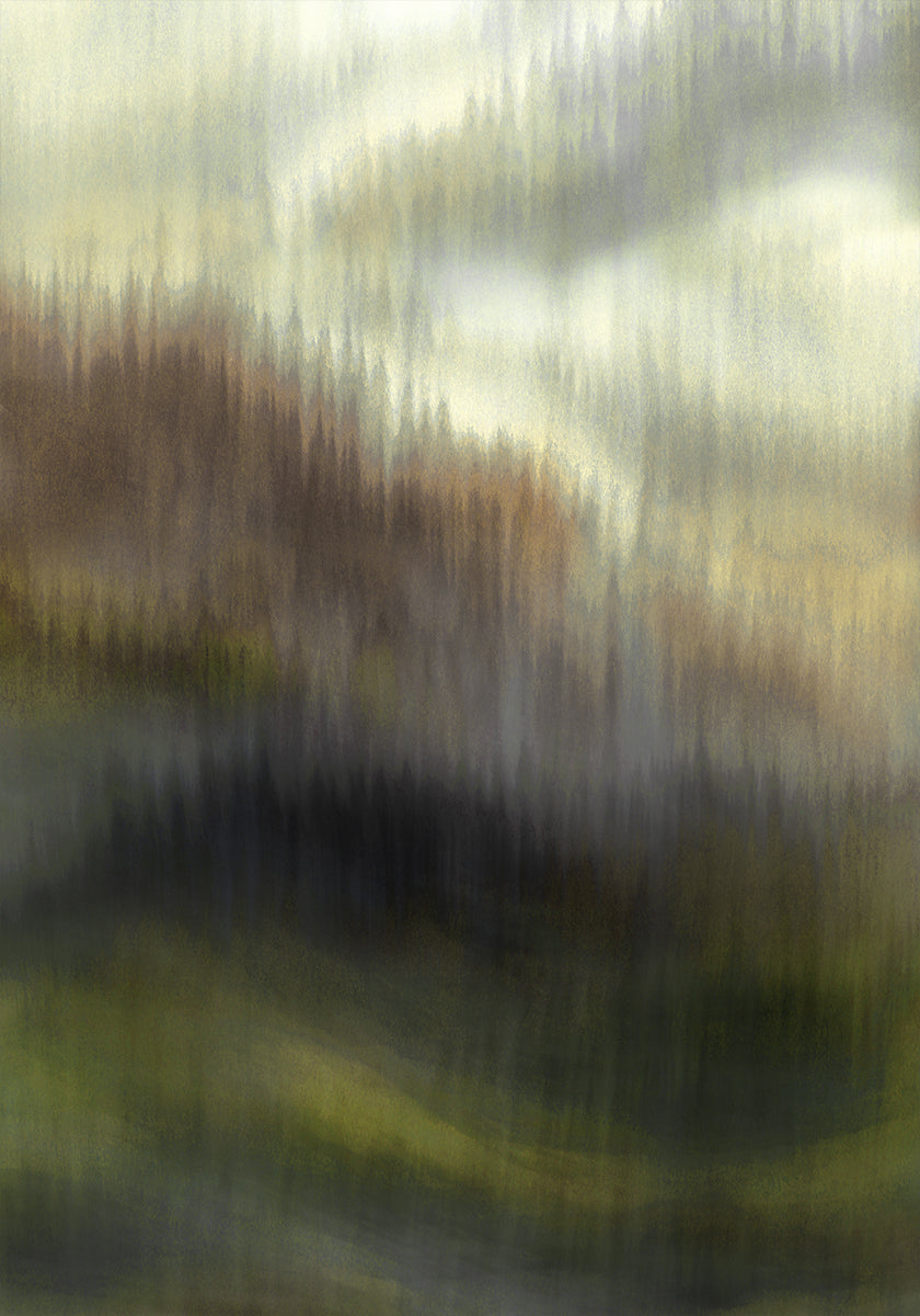 Velo della Foresta Nebbiosa