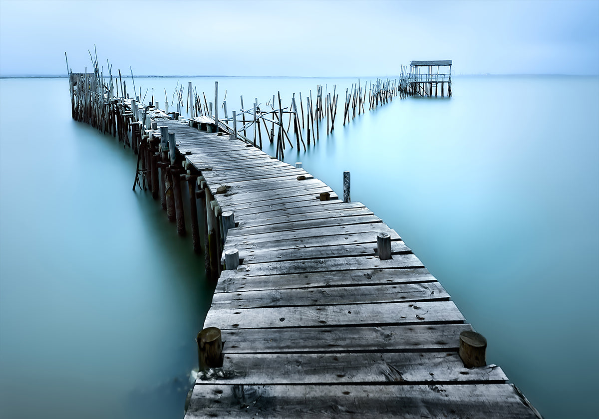 Manifesto Carrasqueira II