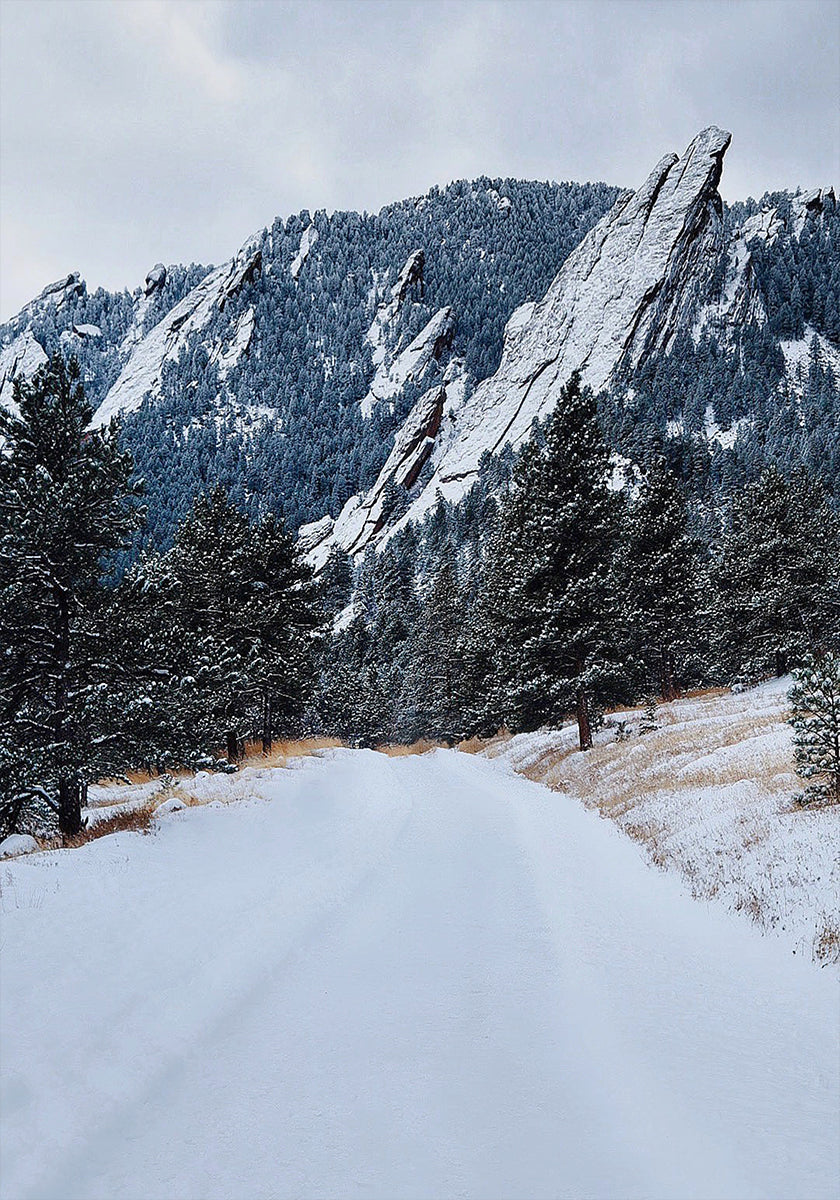 Poster del ferro da stiro congelato