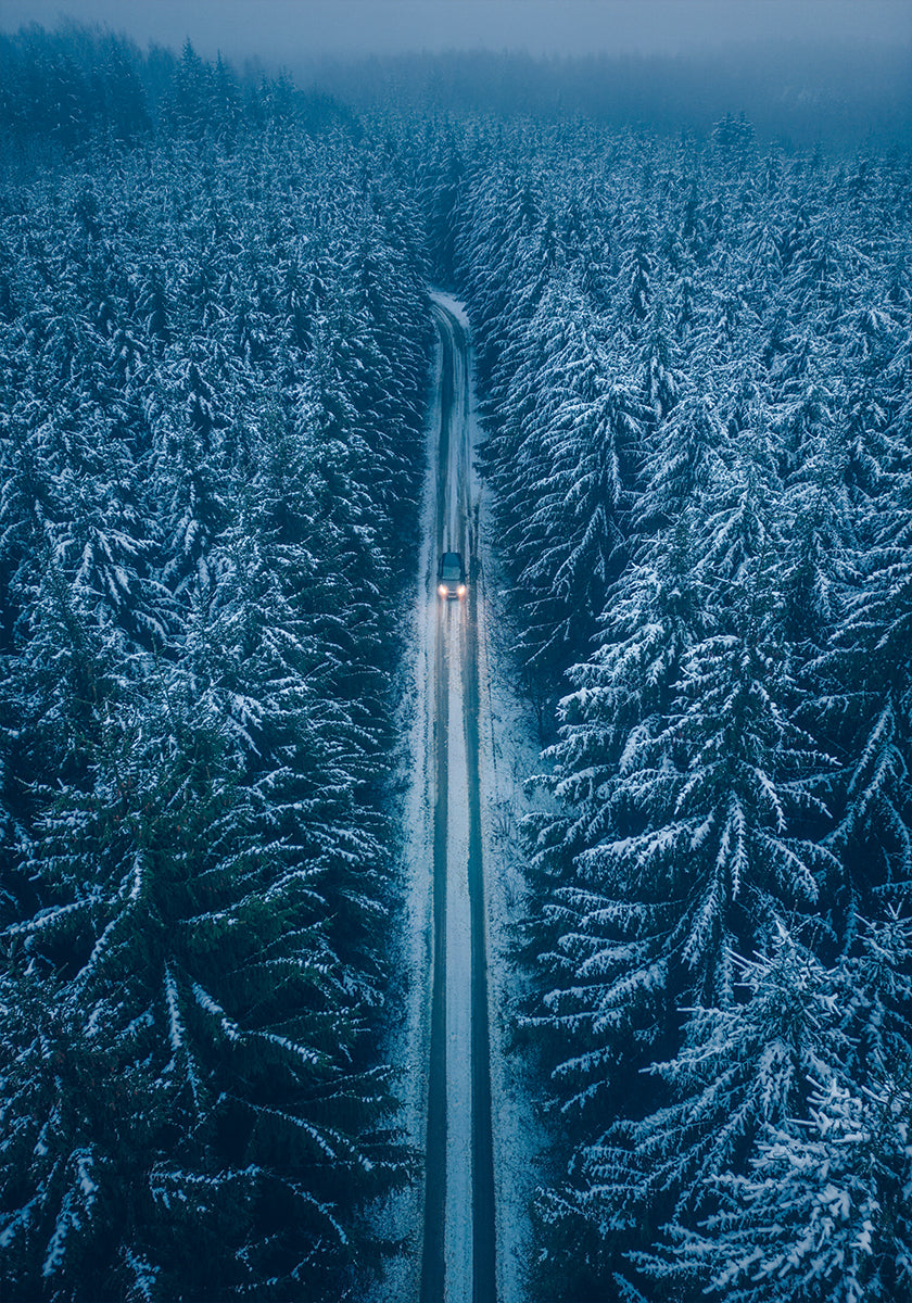 Il poster dell'inverno più lungo