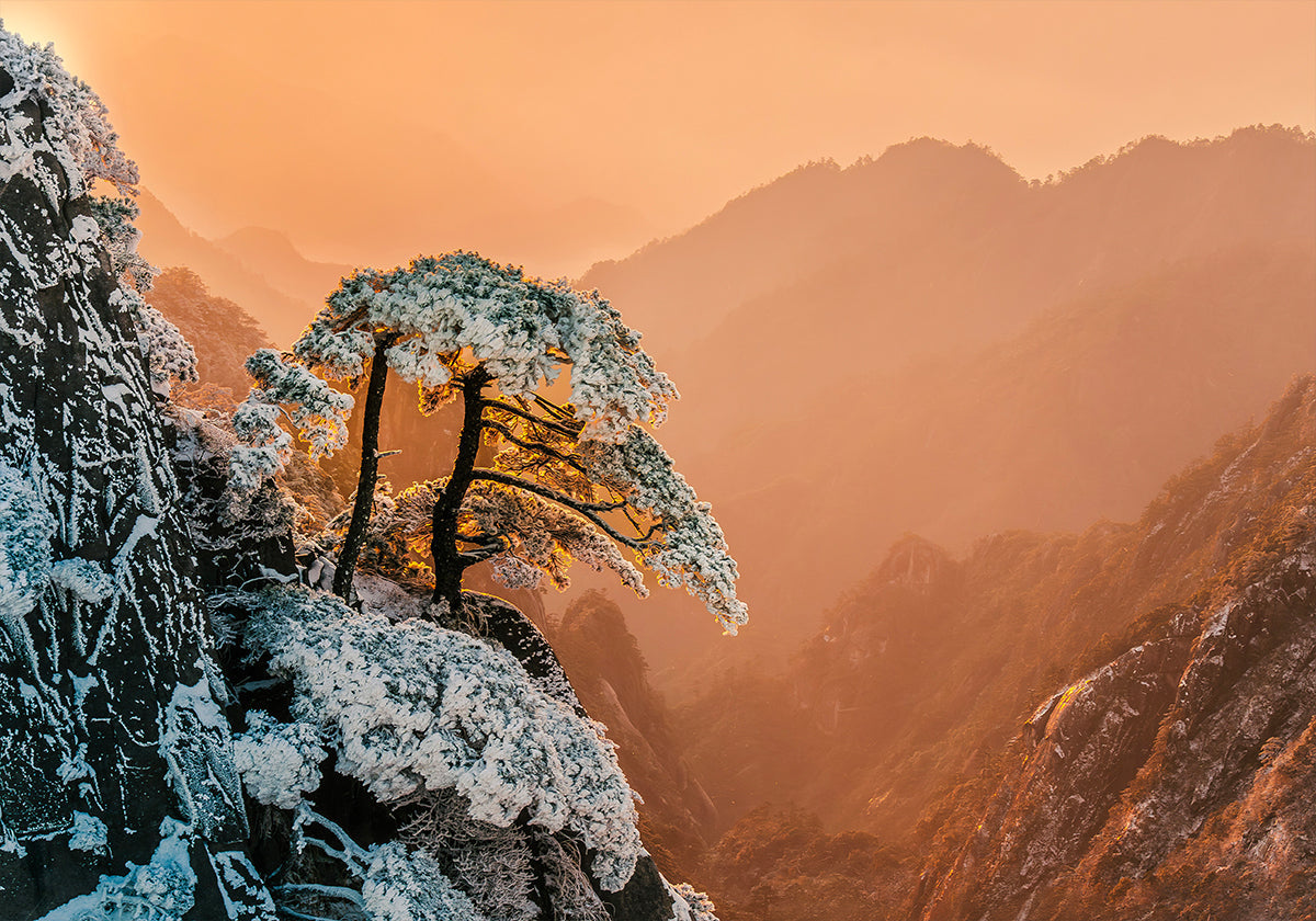 Poster Resilienza ai margini