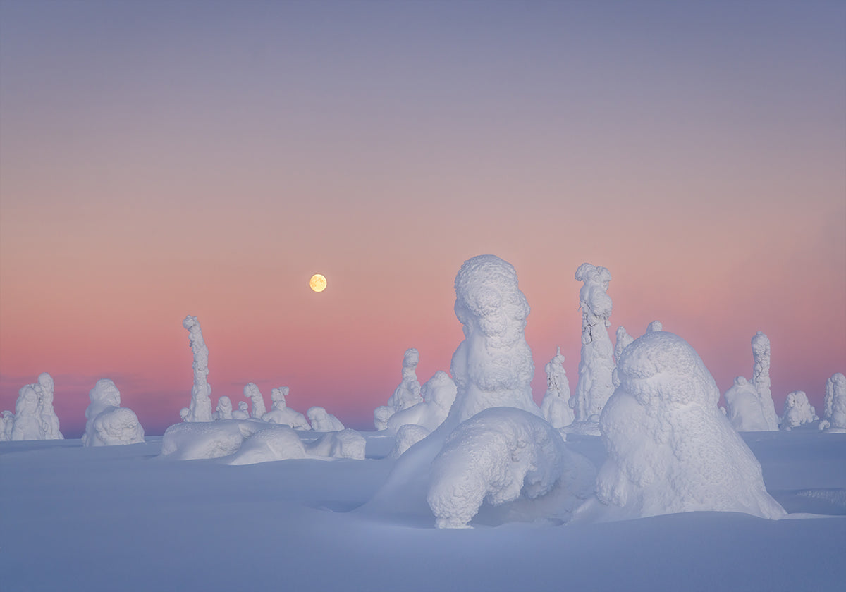 Manifesto del dramma di Shakespeare