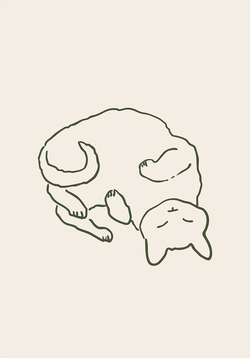 Accogliente gatto da coccolare (NUOVO)