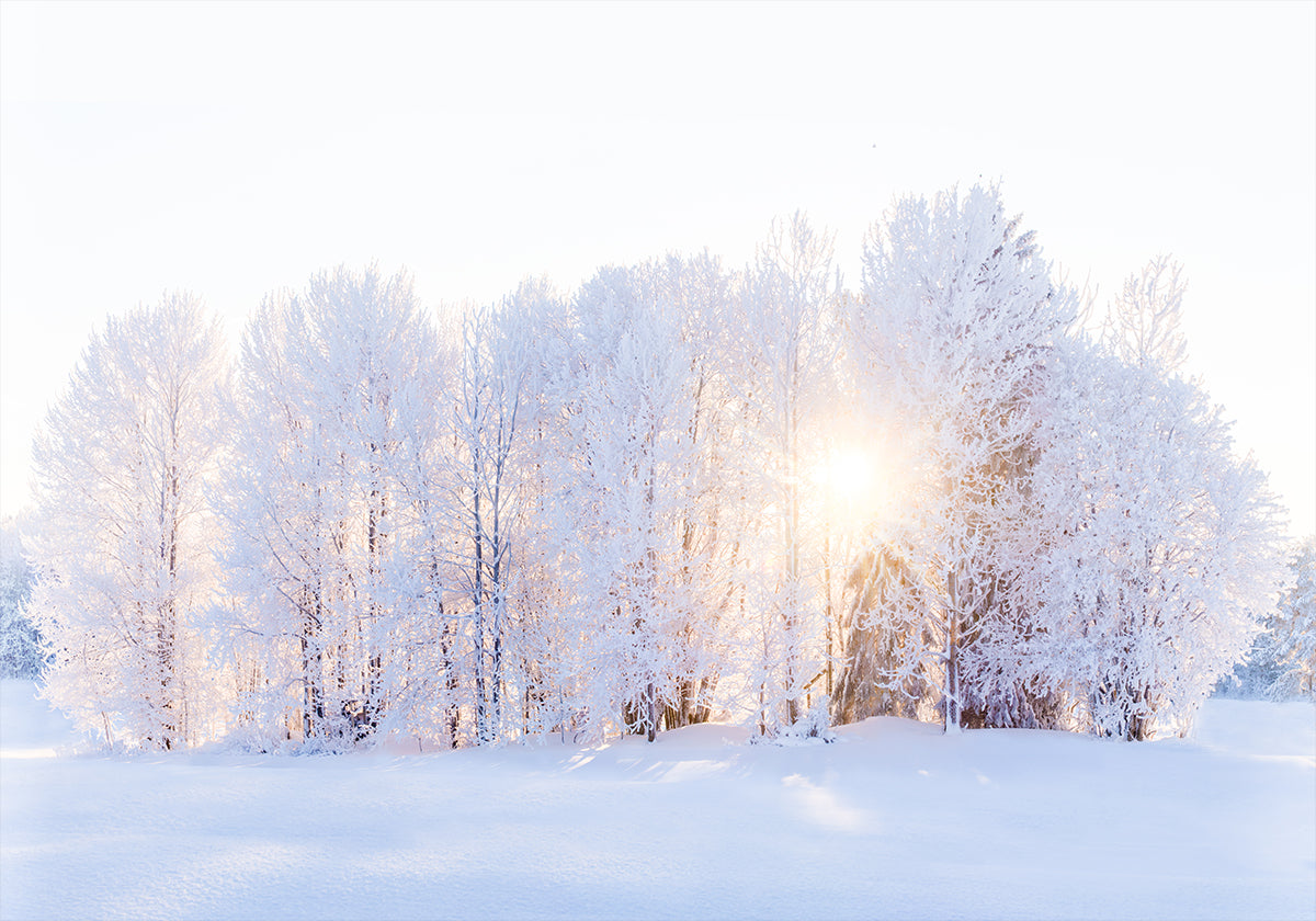 La luce ritorna Poster