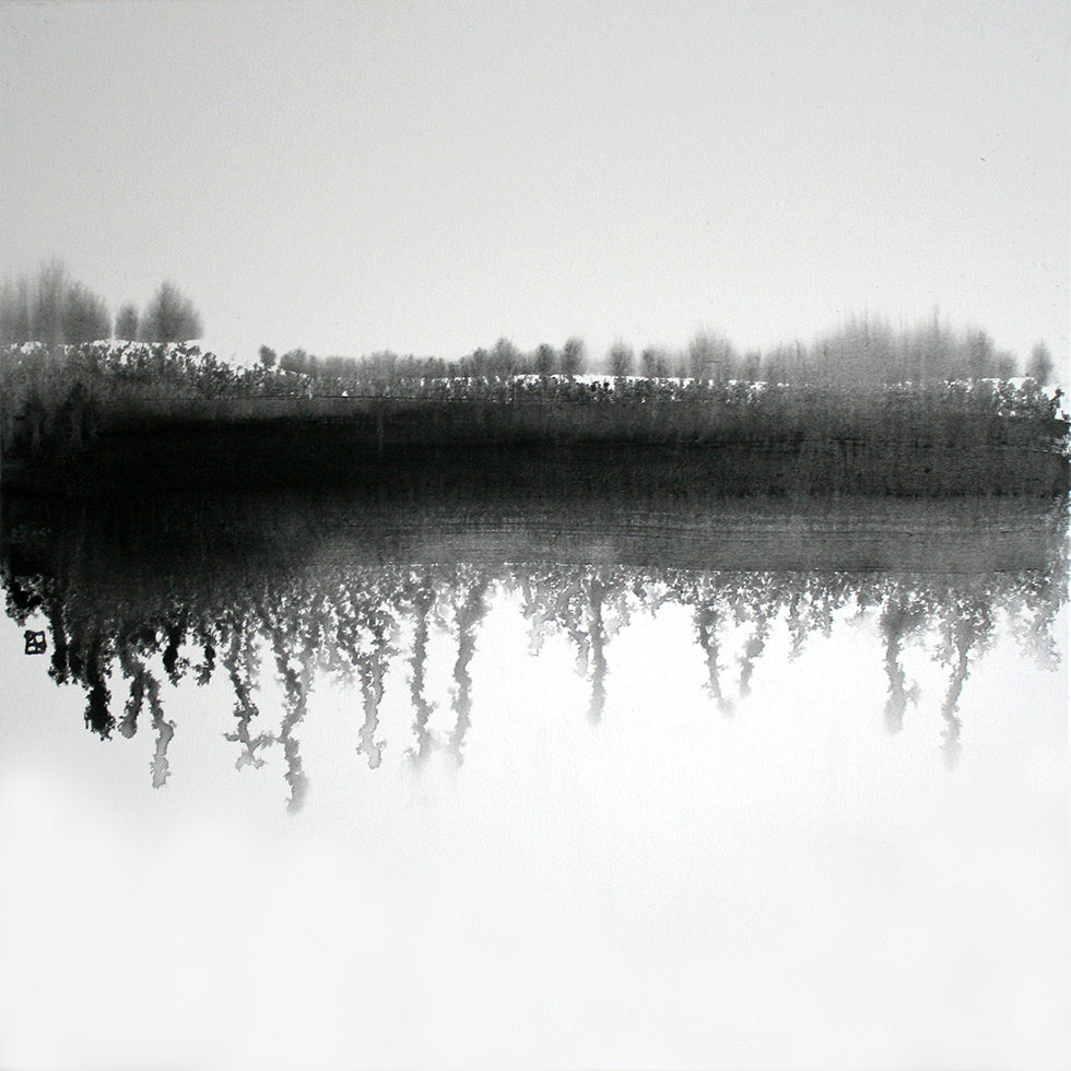 Poster del lago invernale