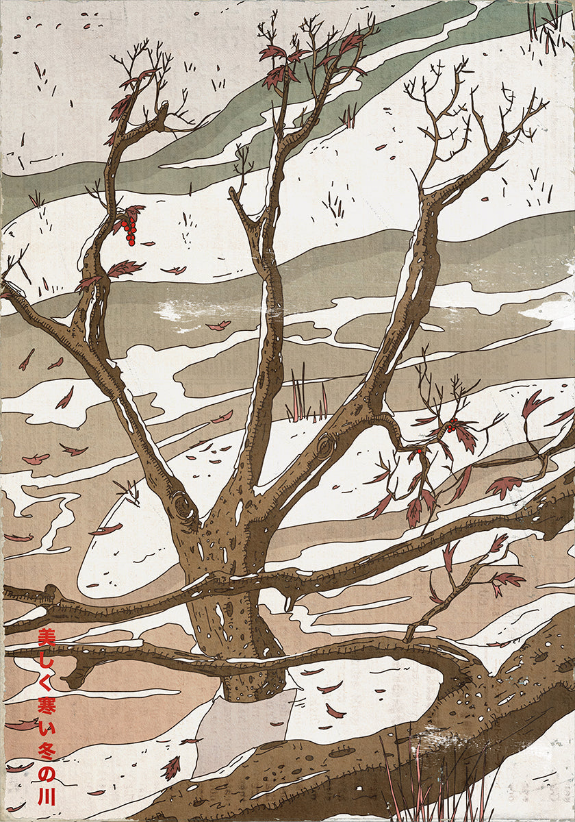 Il bellissimo flusso degli inverni freddi (NUOVO)