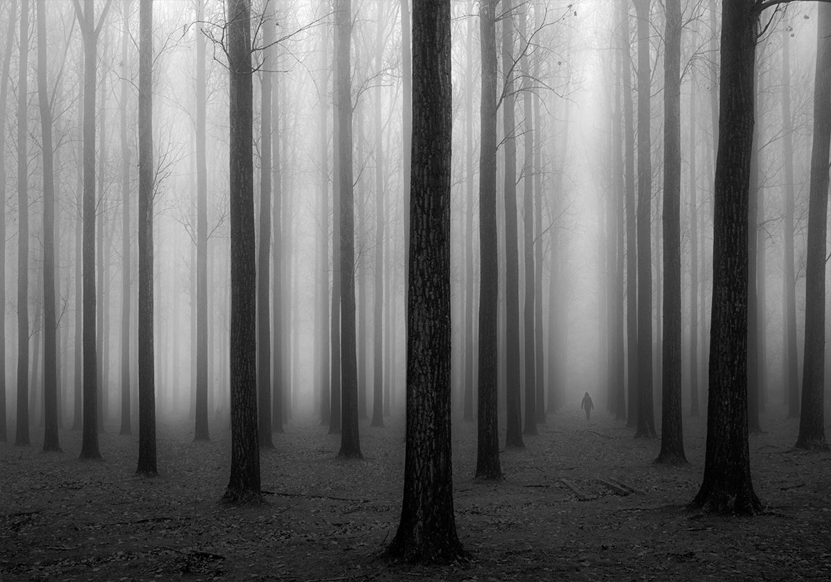 Nella nebbia