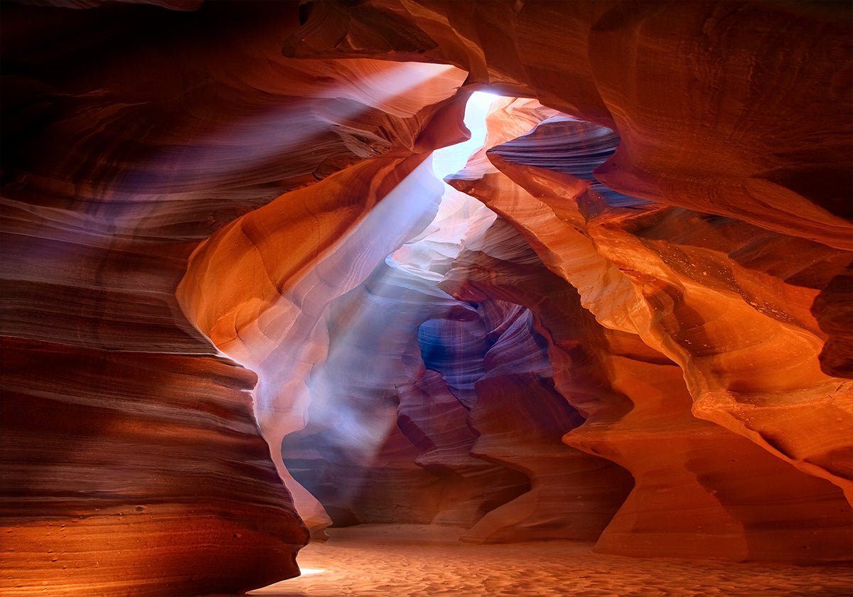 Poster Puro Photodelight 2