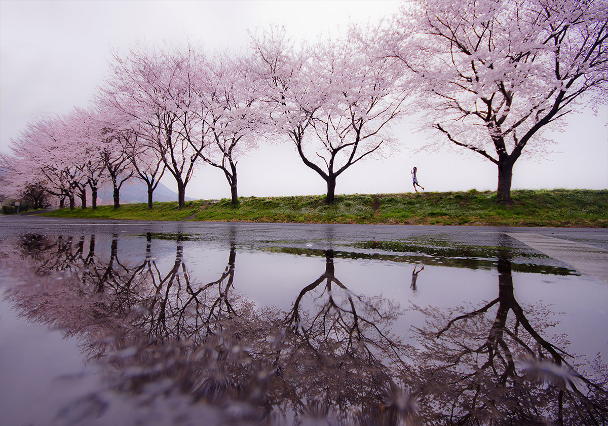 Pioggia di primavera