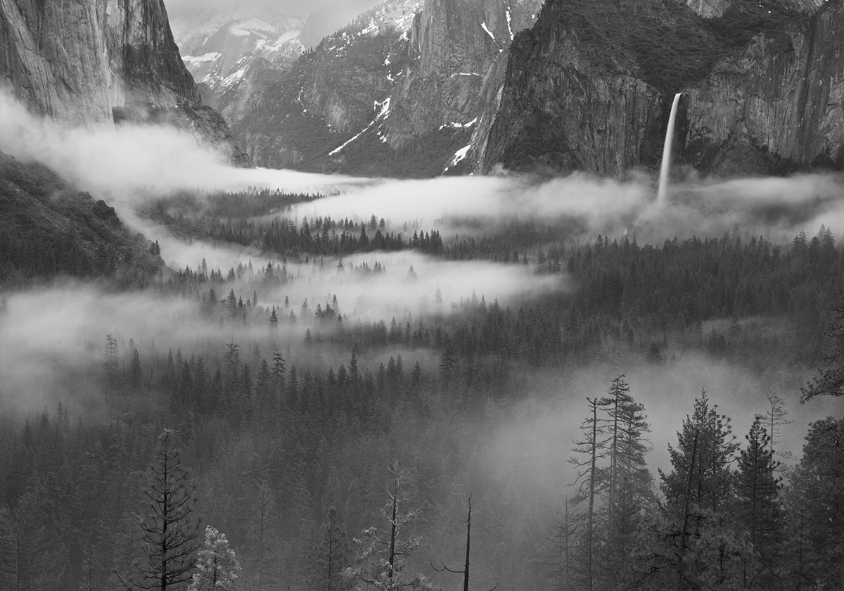 Nebbia Galleggiante Nella Valle Di Yosemite