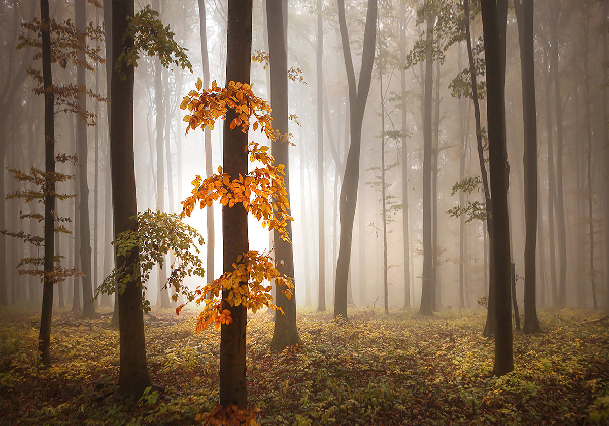 Nella luce di novembre
