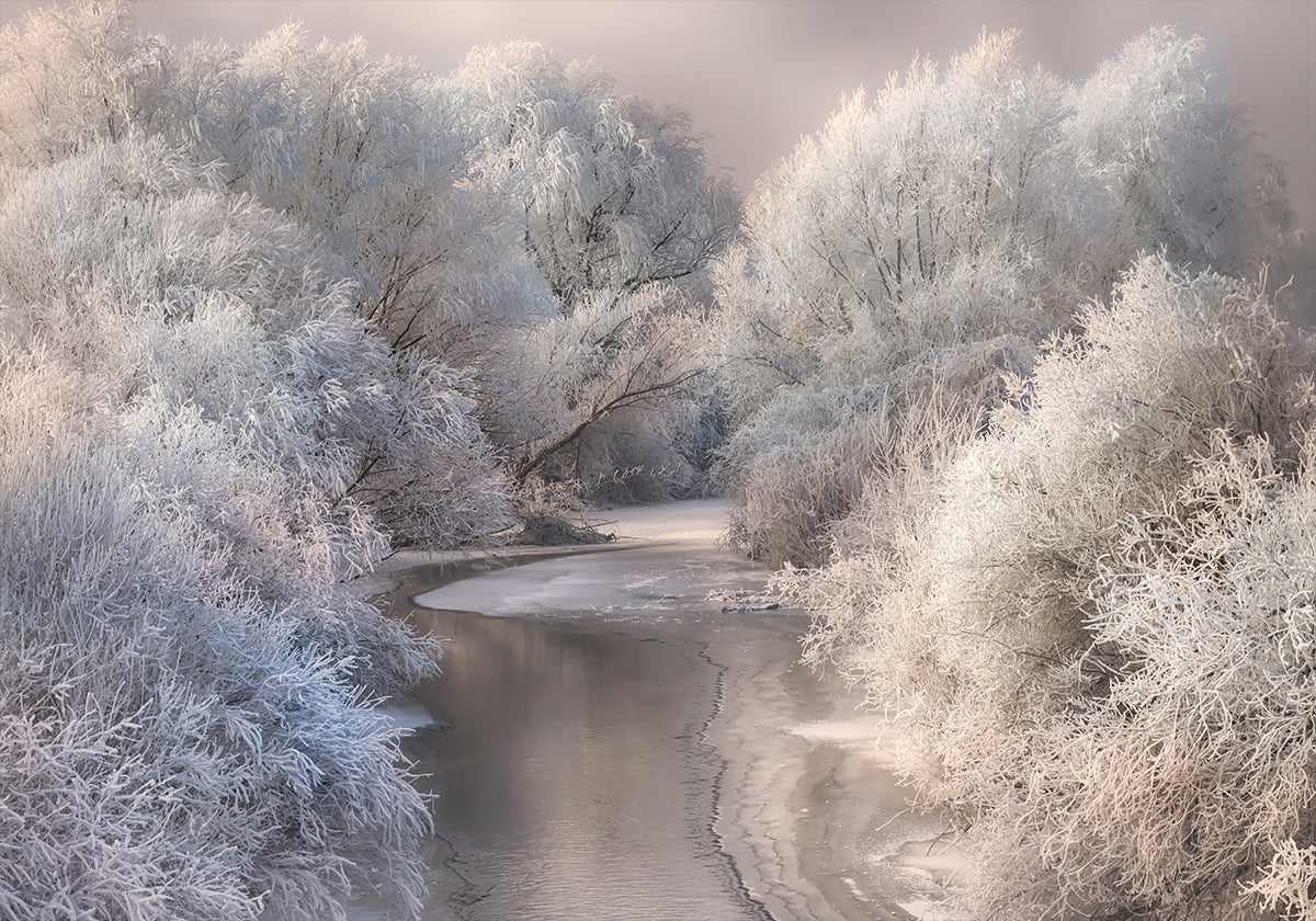 Canzone d'inverno