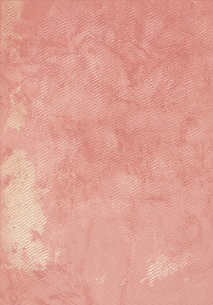Blush Pink Distressed Texture (NEW) - Posterbox