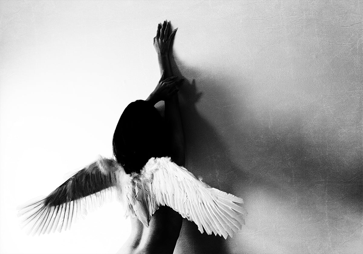 non volare