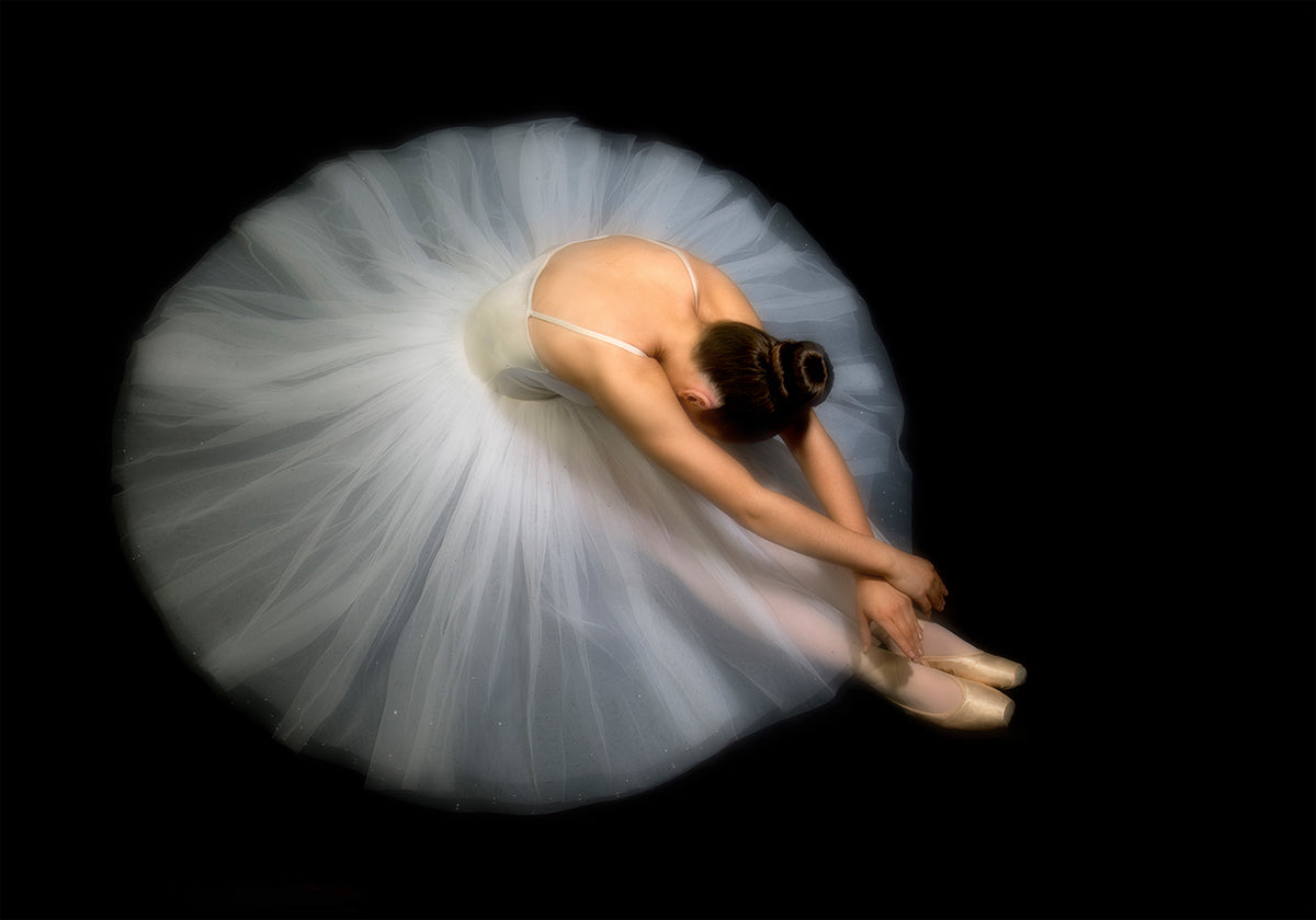 Eleganza