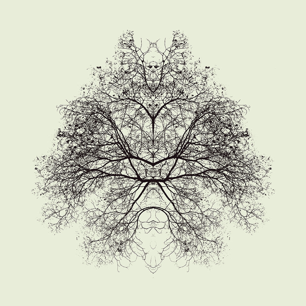 Manifesto del test di Rorschach