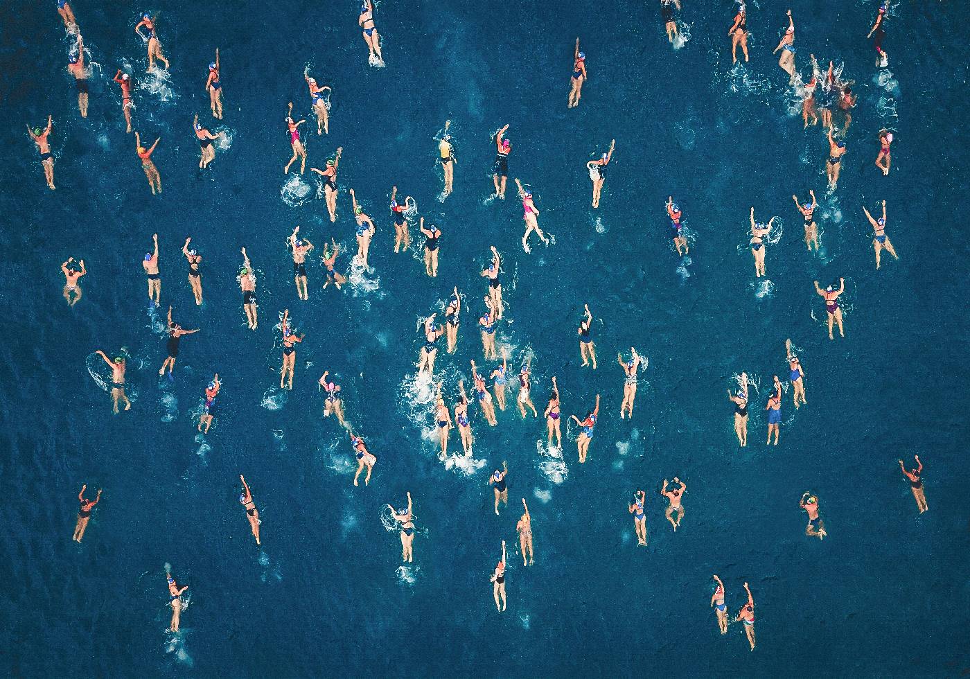 Swimming Wall Art Plakat - Posterbox.dk